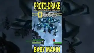 How Proto Drakes REPRODUCE in World of Warcraft! #wowclassic #classicwow #worldofwarcraft #wotlk