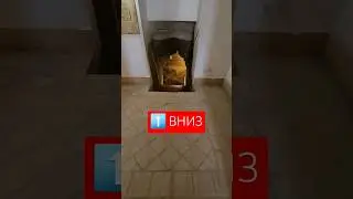Подземные ходы начали откапывать под домами в иранском Шуштаре -разрешили спуситься, денег не взяли)