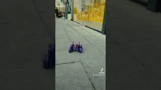 20 ноября 2023 г.