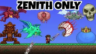 Can I Beat Terraria Only Using The Zenith?