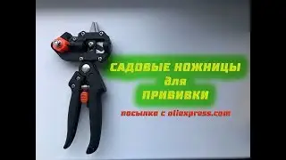 Садовые ножницы для прививки из Китая.