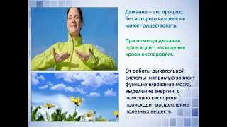 Чистые легкие
