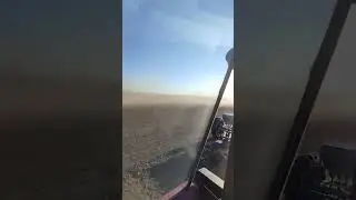 Посевная озимой пшеницы 2023