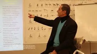 Гуны дар и Бетховен  нищие и практ психл