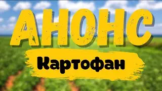 АНОНС #КАРТОШКА | Кулинар шоу 2 сезон