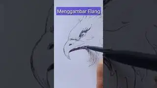 Menggambar Elang #art