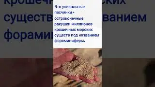 Прекрасный японский пляж / Пляж в виде звёздочек / Факт