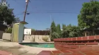 WORLDS BEST Dog Skills & Tricks - Compilation
