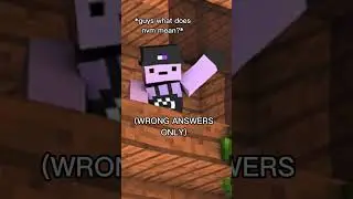 wHaT DOes nVM mEan??