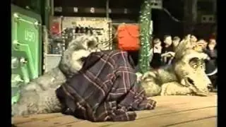 What's Up Doc - Best Bits of 30th January 1993