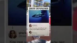 Диалог сверхразумов