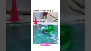 care 