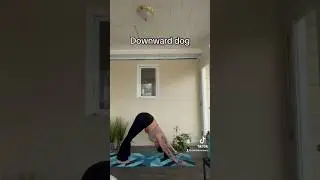 Here are some of my favorite yoga poses 🧘‍♀️ 