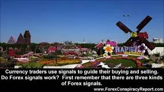 Do Forex Signals Work?