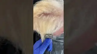 Ещё больше секретов для окрашивания смотри в новых видео 😉🔥#колорист