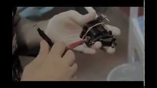 Trailer - Ink Story #2