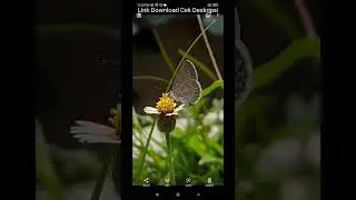Gcam 8.2 Parrot | Test Objek Macro 