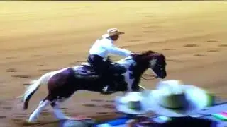 Smartacus 3 yr gelding.