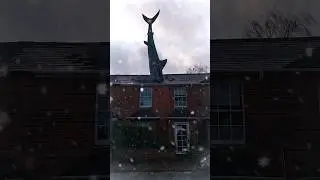 Not just for Christmas!