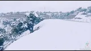 #waziristan