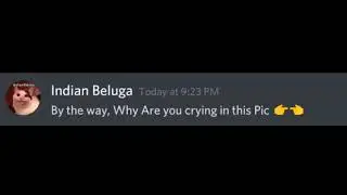 Discord Funny 😂 Conversation Be Like   Indian Beluga