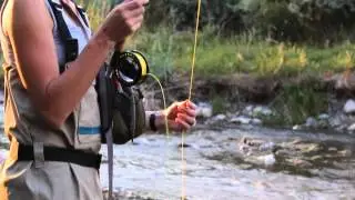 Gone Fishin