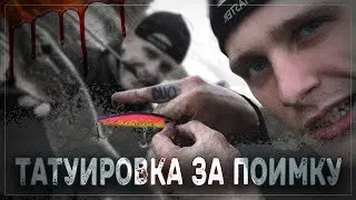 ГЕЙ-МАТТАЙГЕР СНОВА В ДЕЛЕ - ЩУКА, МЕЖА, ТАТУИРОВКА  👑 КОРОЛИ БЕСКЛЁВЬЯ #3