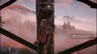 Horizon forbidden west Property Retrieval Ps5 just4fun (ZackMidnight)