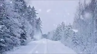 Метель
