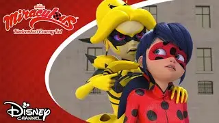 🤫 Podstęp | Miraculous: Biedronka i Czarny Kot | Disney Channel Polska