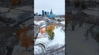 Winter may now be here to stay.. But there’s still a little of Fall still holding on!  #winnipeg