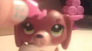 Lps the trip part l