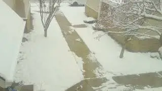 Lots of snow