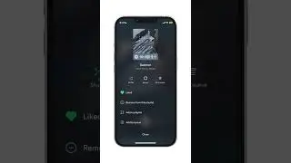 How To Set A Timer For Spotify!