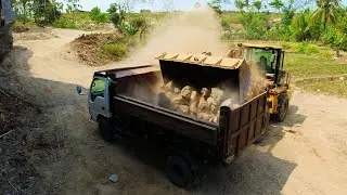 XGMA XG935H - Wheel Loader Loading Dump Truck Hauling Rock | Heavy Machines Transport, Mining