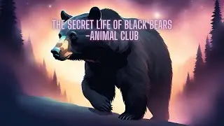 The Secret Life of Black Bears -Animal Club