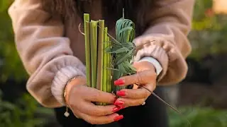 You Won't Believe How Easy LEMONGRASS Harvesting Can Be