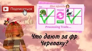 Что дают за Фр Черепаху?🐢🎄