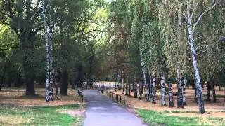 Прогулка по Головинским прудам