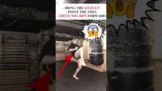 FIGHTING TECHNIQUES ✅ How To PERFECT your FRONT KICK: Kempo 