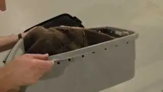 New Vermicompost Worm Bin 3 Week Followup