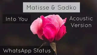 Matisse & Sadko - Into You | WhatsApp Status | Full Screen Status