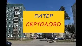 Питер город Сертолово на севере области