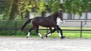 Pamina