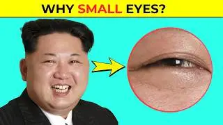 Why Do Some People Have Smaller Eyes? 🤔