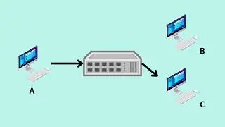 Network devices