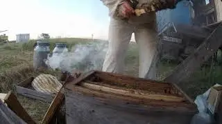 Оценка качества отводков и рамок с мёдом, а как Вам такой обзор в 4к формате? Видео с мёдом честное!
