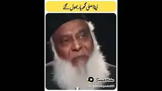 INSSAN KA ASLEE GHARR