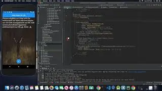 FLUTTER WIDGET OF THE WEEK(APPBAR WIDGET)