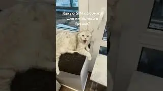 Безлимитный интернет в Грузии 
